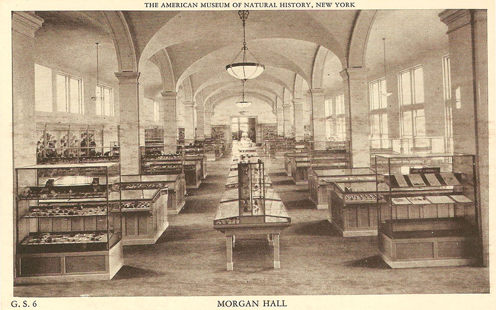 AMNH Morgan Hall postcard