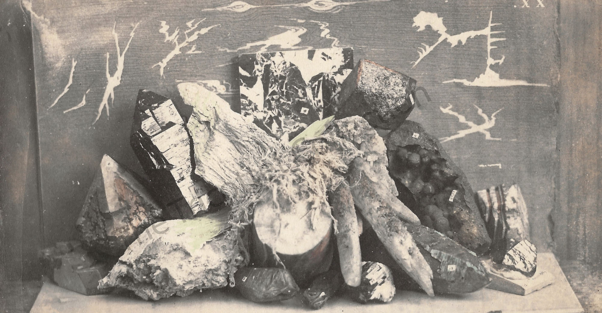 earliest photograph of a mineral display