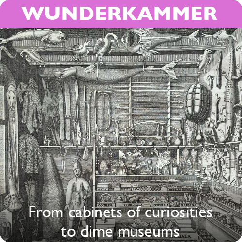 Wunderkammern